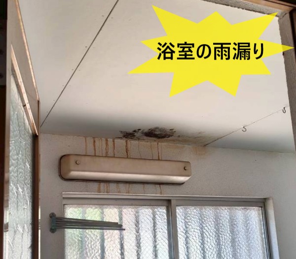 浴室の雨漏り　天井と壁際にしみができている